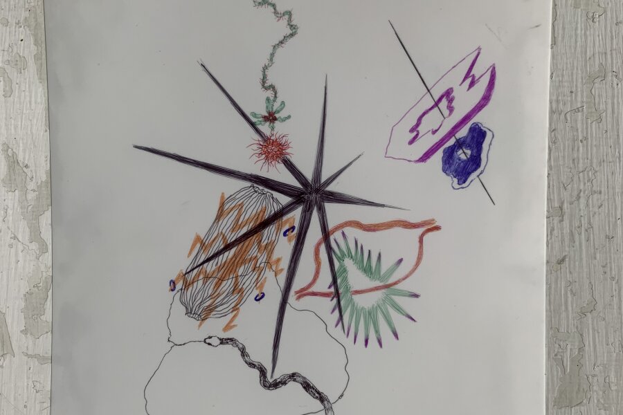 Kateřina Šillerová, Close-connect. 4 kresby jako celek, vyvolávací cena 2.000,- Kč za celek